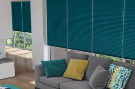 pleated blinds 2